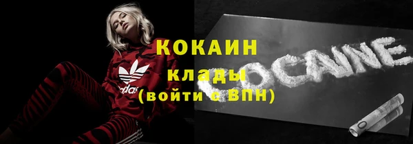 дживик Осинники