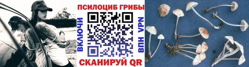 Галлюциногенные грибы ЛСД  Ноябрьск 
